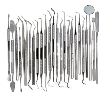 24 Pcs Dental Tools Professional Stainless Steel